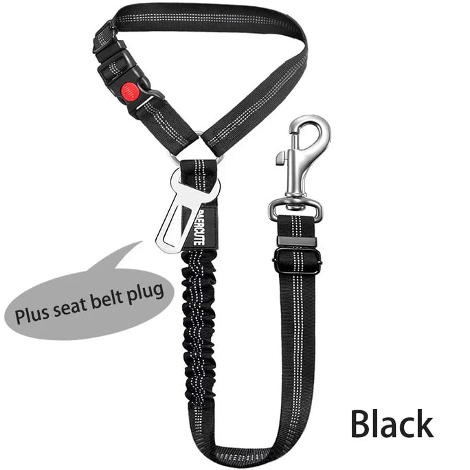 Two-in-One Dog Harness & Leash